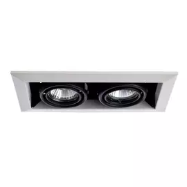 Потолочный поворотный светильник ARTE LAMP A5941PL-2WH