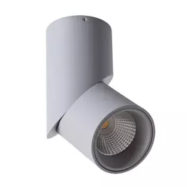 Потолочный светильник ARTE LAMP