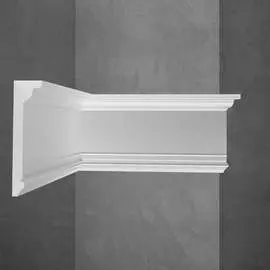 Потолочный плинтус Stenopol C7227