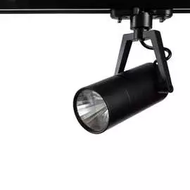 Потолочный поворотный светильник ARTE LAMP