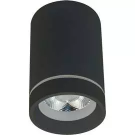 Потолочный светильник Aployt
