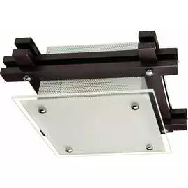 Потолочный светильник ARTE LAMP ARCHIMEDE A6462PL-1CK