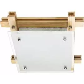 Потолочный светильник ARTE LAMP ARCHIMEDE A6460PL-2BR