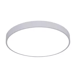 Потолочный светильник ARTE LAMP A2670PL-1WH