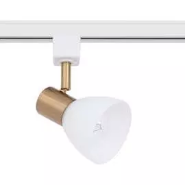 Потолочный светильник ARTE LAMP