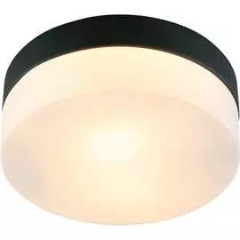 Потолочный светильник ARTE LAMP A6047PL-1BK