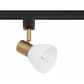 Потолочный светильник ARTE LAMP