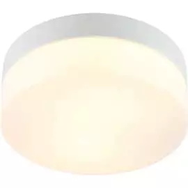 Потолочный светильник ARTE LAMP A6047PL-1WH