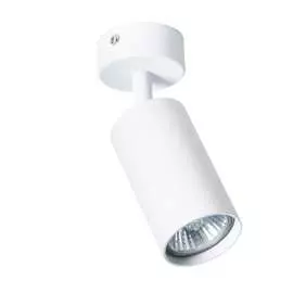 Потолочный светильник ARTE LAMP