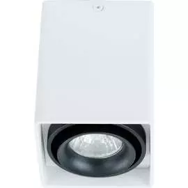 Потолочный светильник ARTE LAMP