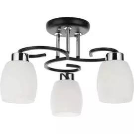 Потолочный светильник ARTE LAMP