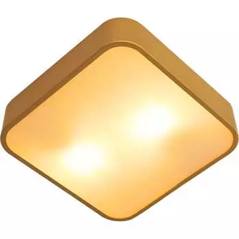 Потолочный светильник ARTE LAMP cosmopolitan A7210PL-2GO