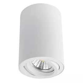 Потолочный светильник ARTE LAMP