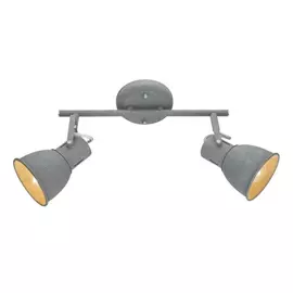 Потолочный светильник ARTE LAMP A1677PL-2GY