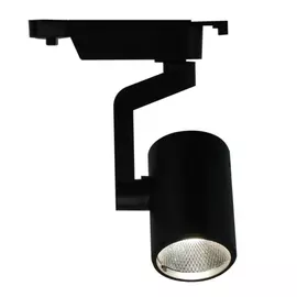 Потолочный светильник ARTE LAMP