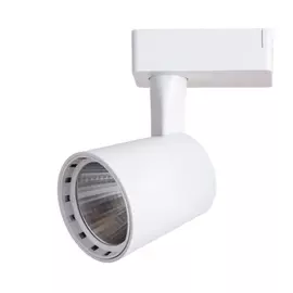 Потолочный светильник ARTE LAMP