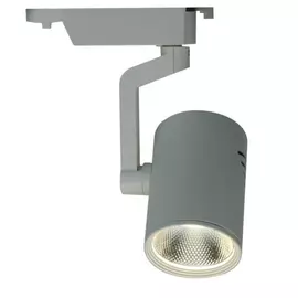 Потолочный светильник ARTE LAMP
