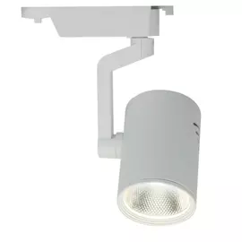 Потолочный светильник ARTE LAMP