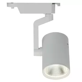 Потолочный светильник ARTE LAMP