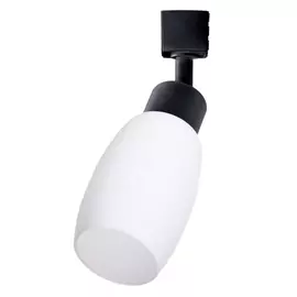 Потолочный светильник ARTE LAMP