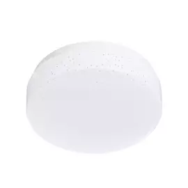 Потолочный светильник ARTE LAMP