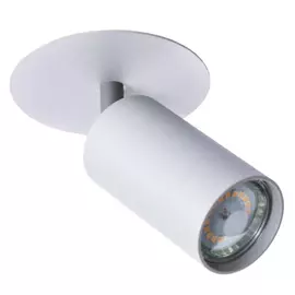 Потолочный светильник ARTE LAMP
