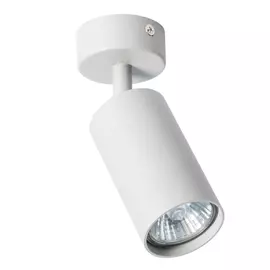 Потолочный светильник ARTE LAMP
