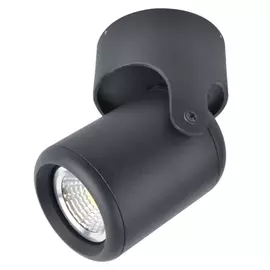 Потолочный светильник ARTE LAMP