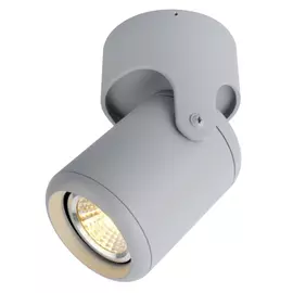 Потолочный светильник ARTE LAMP