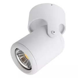 Потолочный светильник ARTE LAMP