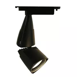 Потолочный светильник ARTE LAMP