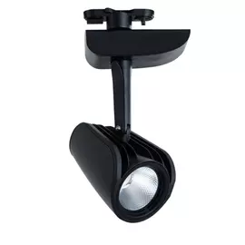 Потолочный светильник ARTE LAMP