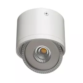 Потолочный светильник ARTE LAMP