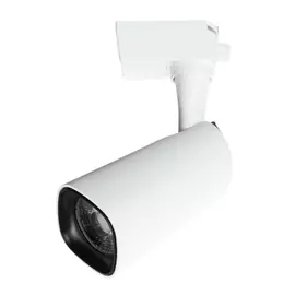 Потолочный светильник ARTE LAMP