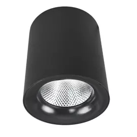 Потолочный светильник ARTE LAMP
