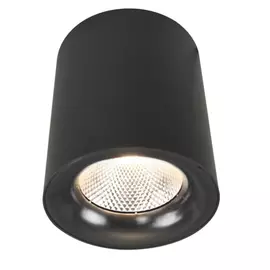 Потолочный светильник ARTE LAMP A5118PL-1BK