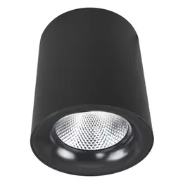 Потолочный светильник ARTE LAMP