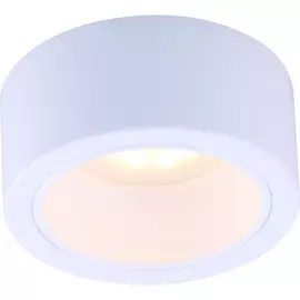 Потолочный светильник ARTE LAMP