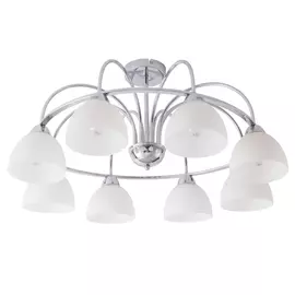Потолочный светильник ARTE LAMP