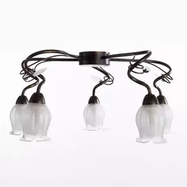Потолочный светильник ARTE LAMP
