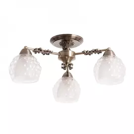 Потолочный светильник ARTE LAMP