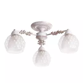Потолочный светильник ARTE LAMP