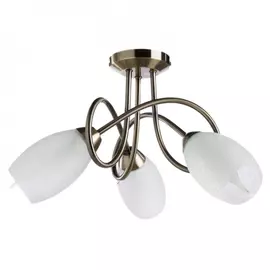 Потолочный светильник ARTE LAMP