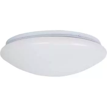 Потолочный светильник BRIZZI BR00567