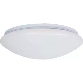 Потолочный светильник BRIZZI BR00568