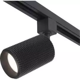 Потолочный светильник Elektrostandard