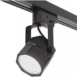 Потолочный светильник Elektrostandard Robi MRL 1004 a047355