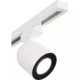 Потолочный светильник Elektrostandard