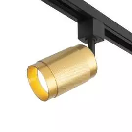 Потолочный светильник Elektrostandard