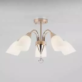 Потолочный светильник Eurosvet 30149 5 a043903